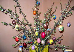 húsvéti tojásfa
